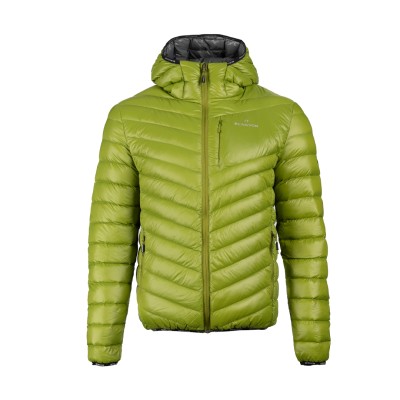_0003s_0000_CELSIUS Green.jpg