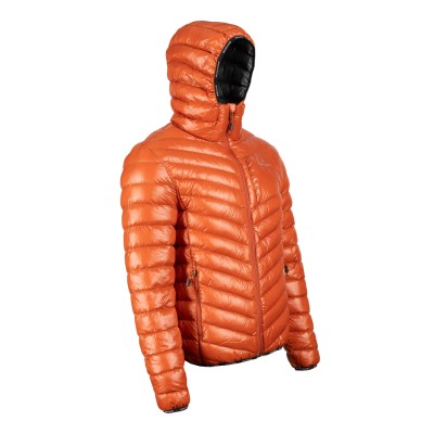 _0002s_0005_CELSIUS Orange.jpg